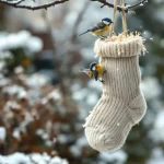 “Les oiseaux vont vous dire merci !” : ce DIY à faire en 10 secondes va les aider précieusement cet hiver