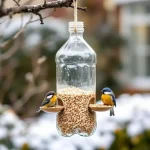 Voici comment une bouteille plastique devient une mangeoire parfaite pour les oiseaux